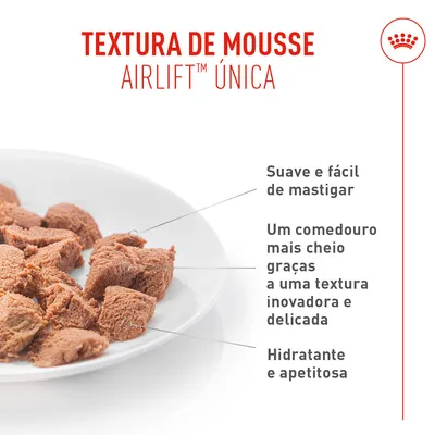 Royal Canin Appetite Control Care AirLift Mousse Royal Canin Appetite Control Care AirLift Mousse