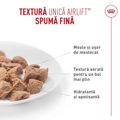 Royal Canin Appetite Control Care AirLift Mousse