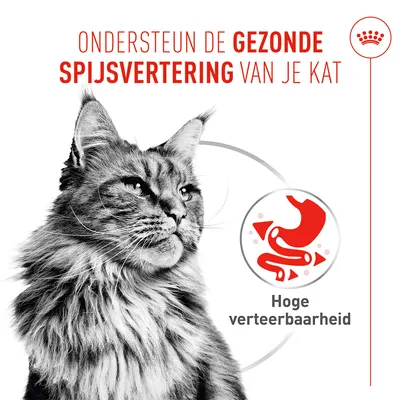 Royal Canin Digestive Care AirLift Mousse