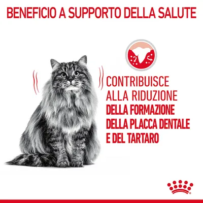 Beneficio a supporto della salute: contribuisce alla riduzione della formazione della placca dentale e del tartaro. Immagine di un gatto e simbolo dentale.