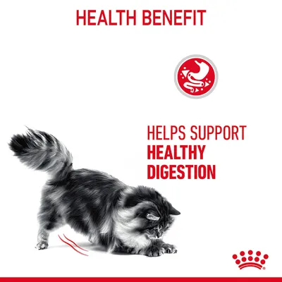 Text: HEALTH BENEFIT. Helps support healthy digestion. Red icon with cat and digestive tract. Image of a long-haired cat. Crown symbol bottom right.