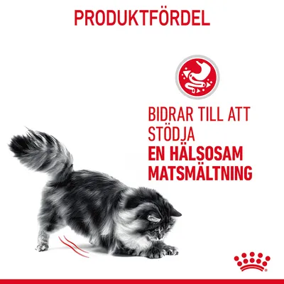 Text: Produktfördel. Bidrar till att stödja en hälsosam matsmältning. Bild på katt och röd ikon med mage. Royal Canin-symbol synlig.