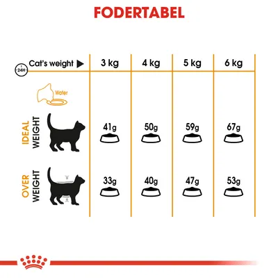 Fodertabel for kat: ved idealvægt 3–6 kg gives 41–67 g dagligt, ved overvægt 33–53 g. Viser også vand som nødvendigt. Tekst på engelsk: Cat's weight, Ideal Weight, Over Weight, Water.