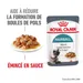 Royal Canin Hairball Care en sauce pour chat