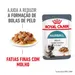 Royal Canin Hairball Care em molho