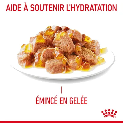AIDE À SOUTENIR L’HYDRATATION, ÉMINCÉ EN GELÉE, assiette avec morceaux de nourriture en gelée, logo Royal Canin visible en bas à droite.