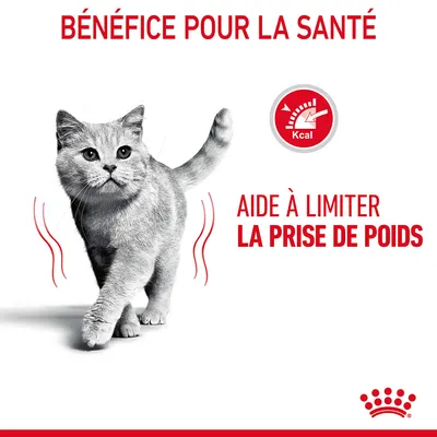 Texte : BÉNÉFICE POUR LA SANTÉ, aide à limiter la prise de poids. Icône Kcal. Chat gris au centre. Marque Royal Canin en bas.
