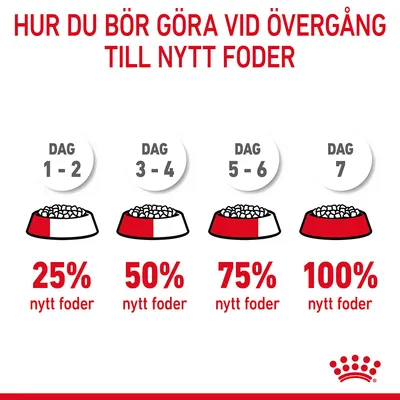 Utfodringsschema vid byte till nytt foder: dag 1–2 25 %, dag 3–4 50 %, dag 5–6 75 %, dag 7 100 % nytt foder. Royal Canin-logotyp synlig.