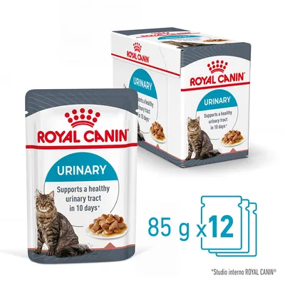 Royal Canin Urinary, confezione da 12 buste da 85 g. Testo visibile: 'Supports a healthy urinary tract in 10 days*'. Immagine di un gatto e crocchette su piatto.