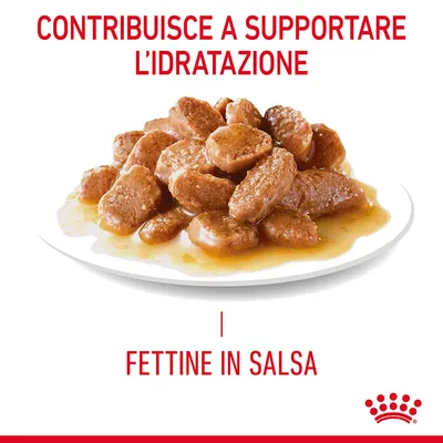 Fettine in salsa su piatto, testo visibile: contribuisce a supportare l’idratazione, fettine in salsa. Marchio Royal Canin visibile in basso a destra.