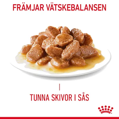 Främjar vätskebalansen. Tunna skivor i sås visas på en tallrik, Royal Canin-varumärke synligt längst ner till höger.