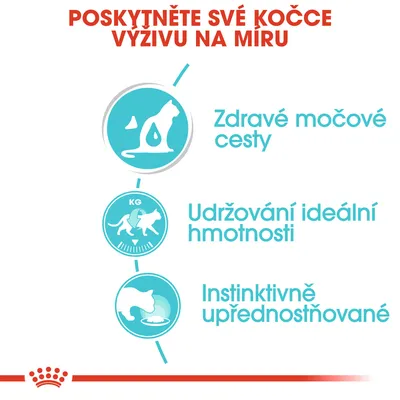 Zdravé močové cesty, udržování ideální hmotnosti, instinktivně upřednostňované – klíčové benefity pro kočky uvedené na obrázku.