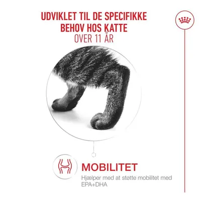 Royal Canin Ageing 11+