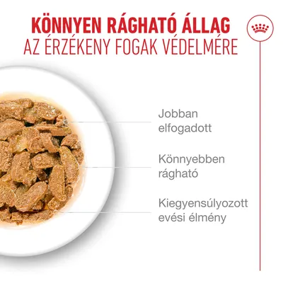 Royal Canin Ageing 11+ aszpikban