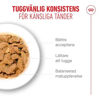 Royal Canin Ageing 11+ i gelé