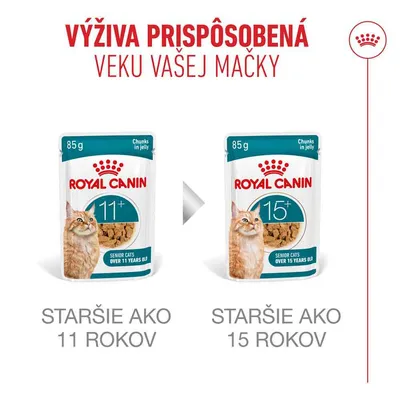 Royal Canin Ageing 11+ v želé