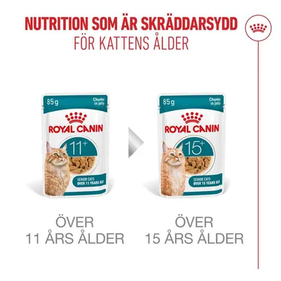 Royal Canin Ageing 11+ i gelé