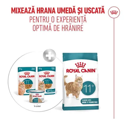 Royal Canin 11+ Pisici Senior hrană umedă și uscată, recomandare: combinație pentru o experiență optimă de hrănire. Ambalaje cu pisică și indicație de vârstă vizibile. Royal Canin 11+ Pisici Senior hrană umedă și uscată, recomandare: combinație pentru o experiență optimă de hrănire. Ambalaje cu pisică și indicație de vârstă vizibile.