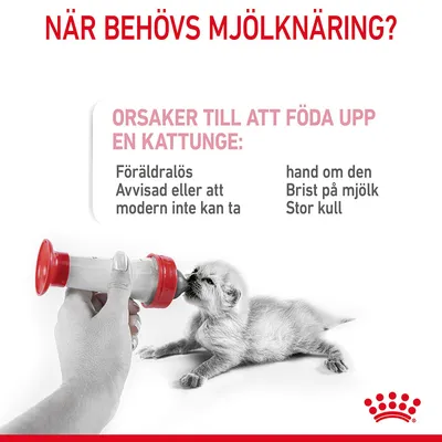 Text: När behövs mjölknäring? Orsaker till att föda upp en kattunge: Föräldralös, Avvisad eller att modern inte kan ta hand om den, Brist på mjölk, Stor kull. Bild på kattunge som matas med flaska.