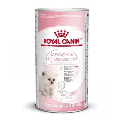 Royal Canin Babycat Milk 0–2 months, macskatejpótló kölyökmacskáknak, nettó tömeg: 300 g. Fehér dobozon cica képe és angol-francia feliratok láthatók.