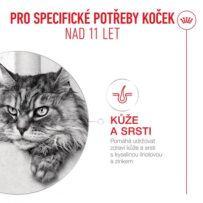 Royal Canin Ageing 11+ Mousse
