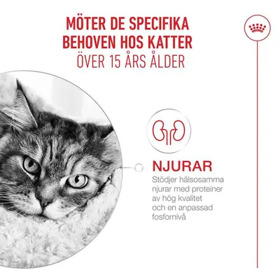 Royal Canin Ageing 15+ Mousse