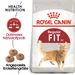Royal Canin Regular Fit