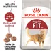 Royal Canin Regular Fit 32 pour chat