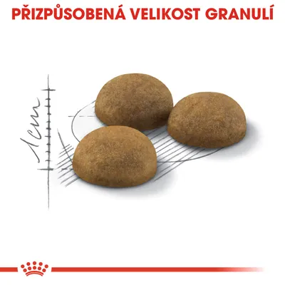PŘIZPŮSOBENÁ VELIKOST GRANULÍ, tři granule s nákresem velikosti 1 cm vedle nich