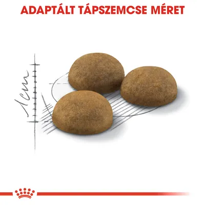 Három táp szemcse, háttérben méretjelöléssel és a felirat: ADAPTÁLT TÁPSZEMCSE MÉRET. A skála 1 cm-t mutat.