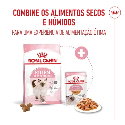 Royal Canin Kitten em gelatina
