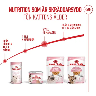 Royal Canin Kitten i gelé