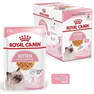 Royal Canin Kitten umido in Gelatina per gatti
