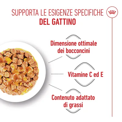 Royal Canin Kitten Sterilised in Gelatina