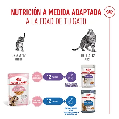 Royal Canin FHN Sterilised Kitten en gelatina