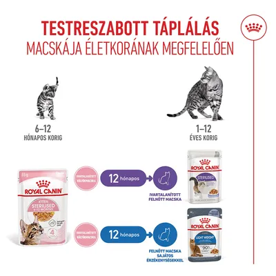 Royal Canin FHN Sterilized Kitten aszpikban