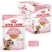 Royal Canin Sterilized Kitten v želé