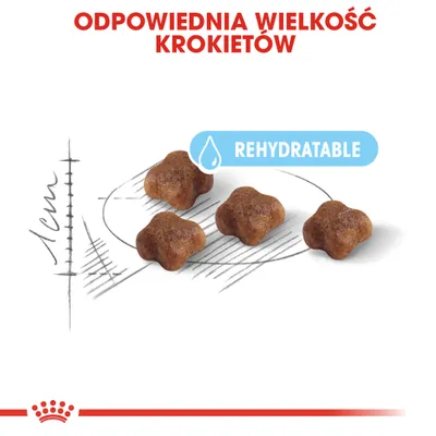 Odpowiednia wielkość krokietów, cztery krokiety o długości ok. 1 cm, widoczny napis REHYDRATABLE na niebieskim tle.
