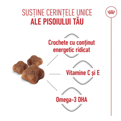 Crochete cu conținut energetic ridicat, vitamina C și vitamina E, Omega-3 DHA. Crochete cu conținut energetic ridicat, vitamina C și vitamina E, Omega-3 DHA.