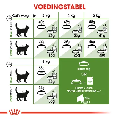 Voedingstabel voor katten: dagelijks aanbevolen hoeveelheid brokjes en natvoer per gewicht (3–6 kg), onderscheid tussen ideaal en overgewicht. Royal Canin Instinctive 7+ vermeld.