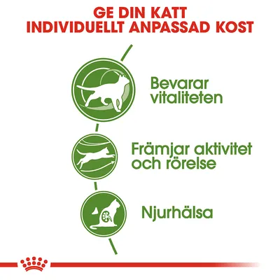 Text: Ge din katt individuellt anpassad kost. Bevarar vitaliteten, Främjar aktivitet och rörelse, Njurhälsa. Tre gröna ikoner med katter bredvid respektive text.