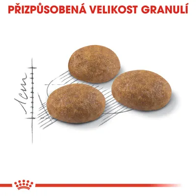 Tři granule s textem „Přizpůsobená velikost granulí“ a měřítkem ukazujícím průměr 1 cm.