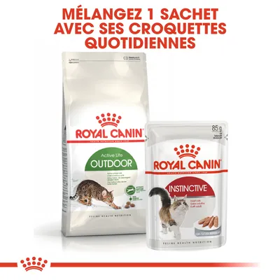 Mélangez 1 sachet avec ses croquettes quotidiennes. Paquet Royal Canin Active Life Outdoor et sachet Royal Canin Instinctive 85 g pour chats visibles.