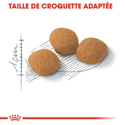 Taille de croquette adaptée, trois croquettes montrées avec une échelle indiquant environ 1 cm de diamètre. Texte visible : TAILLE DE CROQUETTE ADAPTÉE.