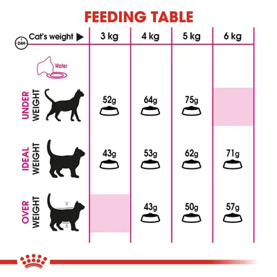Feeding table for cats by weight: underweight 3–5 kg 52–75g, ideal weight 3–6 kg 43–71g, overweight 4–6 kg 43–57g. Water icon shown. Columns for 3, 4, 5, 6 kg.
