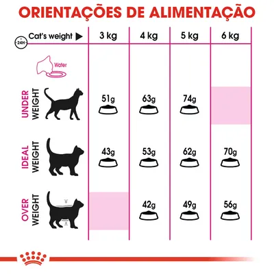 Tabela de orientações de alimentação para gatos: peso 3–6 kg, com doses diárias em gramas para gatos abaixo do peso, peso ideal e excesso de peso. Texto em inglês.