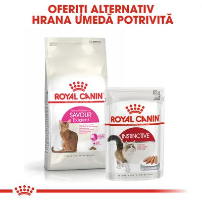 Pachet hrană uscată Royal Canin Savour Exigent și plic hrană umedă Royal Canin Instinctive pentru pisici. Text vizibil: Oferiți alternativ hrană umedă potrivită.