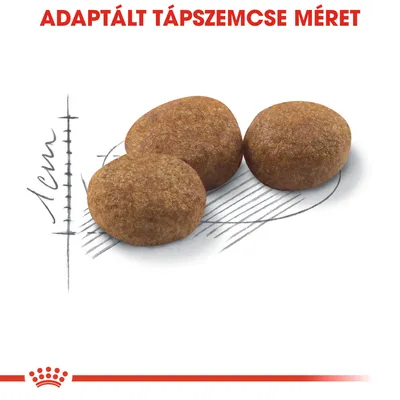 Három táp szemcse, háttérben méretvonalakkal. Felül: ADAPTÁLT TÁPSZEMCSE MÉRET felirat.