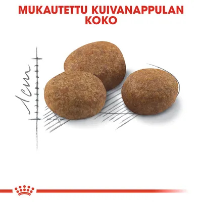 Mukautettu kuivaruokanappulan koko, kolme nappulaa viivaston päällä, mitta 1 cm näkyvissä. Teksti: MUKAUTETTU KUIVANAPPULAN KOKO.