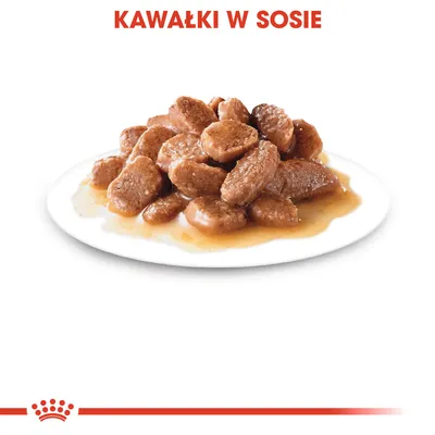 Kawałki w sosie na białym talerzu, widoczne brązowe kawałki karmy pokryte sosem. Widoczny napis: KAWAŁKI W SOSIE.